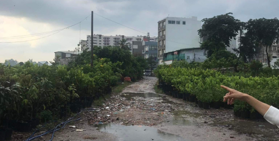 Bán Gấp Quy Hoạch Đất Giáo Dục Quận Gò Vấp Giảm Mạnh Còn 250 Tỉ