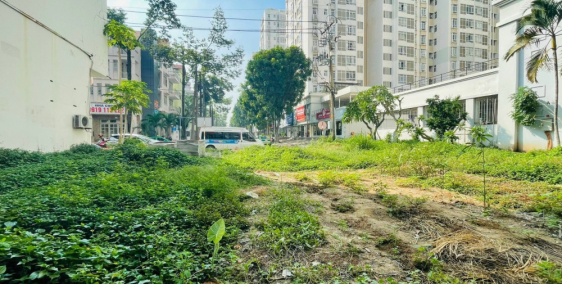 Bán 2 Lô Đất Mặt Tiền Hưng Gia 5 Khu Đô Thị Phú Mỹ Hưng Quận 7 Giá 90 Tỉ - Tiện