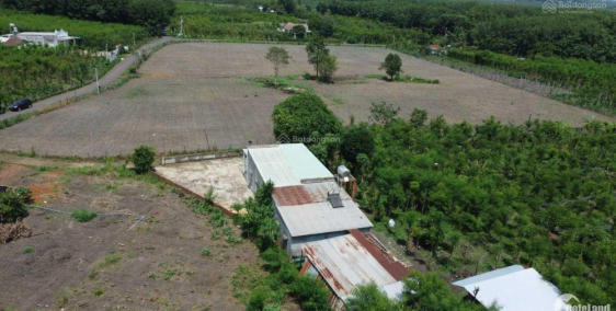 Cần bán hơn 2000m2 thổ cư sẵn, đường nhựa vô tận đất giá chỉ 275tr/ sào