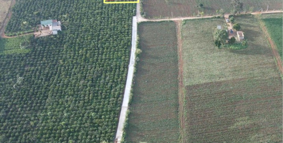 Chính chủ bán gấp hơn 1.2 sào đất thổ, hồ Phúc Thọ