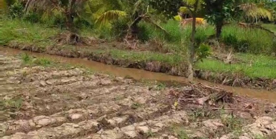 Bán đất CLN 504m2 gần KCN Phú Thuận, sổ hồng riêng