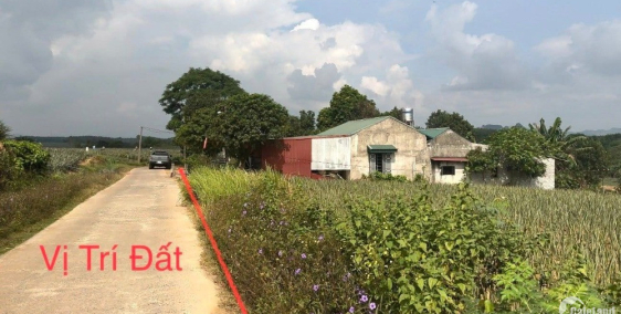 Bán đất kích thước 15x30 full thổ cư