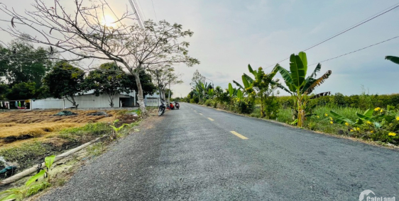 Nền Đẹp 114m2, Lộ Nhựa 11m, Tuyến Áng Khám Ông Hào, Trường Long, Phong Điền