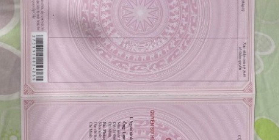 Chung cư tầng trệt 98 Trang Tử, Phường 14, Quận 5