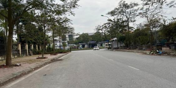 Bán đất biệt thự 1-6 ph Tân Bình, TP HD, 250m2, mt 11m, đường 23.5m, hướng tây,