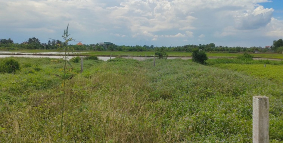 Cắt lỗ lô đất KDC Ấp 5, xã Phước Vân, Cần Đước, Long An, gần chợ Gò Đen, SHR