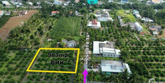 1000m2 đất vườn Bình Đức Bến Lức , đường oto, SHR, giá tốt