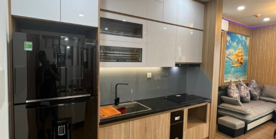 Cho thuê căn chung cư Lighthouse, Ecopark Hải Dương, 68m2, căn góc 2 ngủ, 2 vệ s