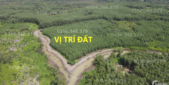 Gần 12000m2 đất 3 mặt tiền sông rạch, gần khu du lịch Bò Cạp Vàng, Chi Bu