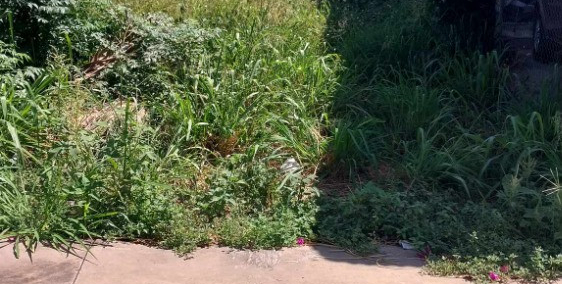 Cần bán gấp 200m2 Full Thổ Cư giá 1ty650 Giang Điền Trảng Bom Đồng Nai