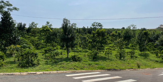 Đất 2 mặt tiền ngang 10m phường Lộc Tiến, tp.Bảo Lộc, Lâm Đồng