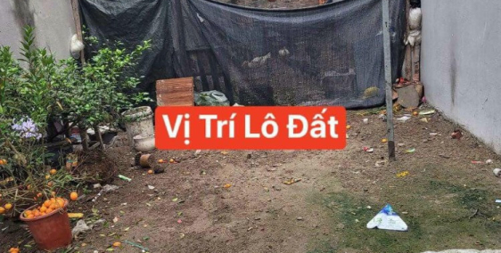 Bán đất ngõ phố Trần Khát Chân, ph Thanh Bình, TP HD, 74.1m2, mt 4.15m, hướng na