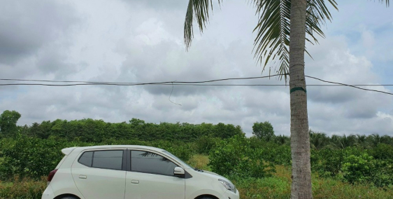 Bán vườn 1913m2 cách ĐT 816 vào 300m, xã Bình Đức, Bến Lức, chỉ 940k/m2