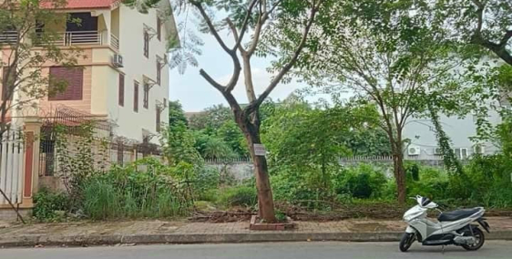 Bán đất biệt thự mặt đường An Dương Vương, Đông Nam Cường, TP HD, 307.5m2, mt 15