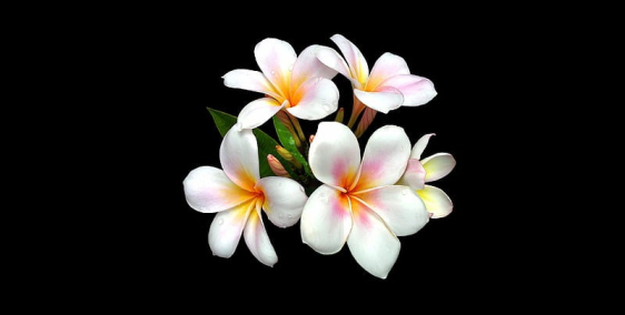 eqwjhev eqwkjeh ejkqwhebqwjhveb eqhwgeqwjgeqwjhev eqwkjeh ejkqwhebqwjhveb eqhwge