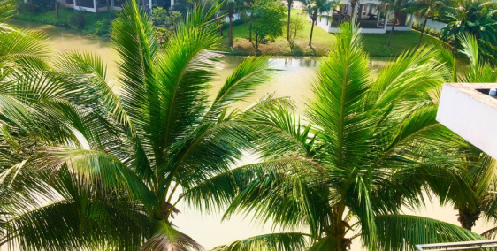 Bán Biệt thự đảo Ecopark Grand The Island