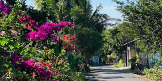 Chính chủ cần bán hẻm c1 nguyễn thị định, sổ hồng chính chủ