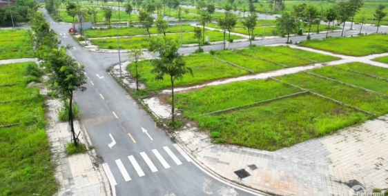 Bán đất tái định cư Cổ Dương. Tiên Dương. Đông anh