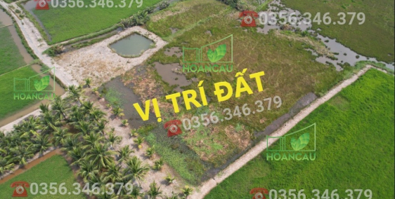 3500m2 đất Nhơn Trạch hàng ngộp cho quý nhà đầu tư nhanh tay