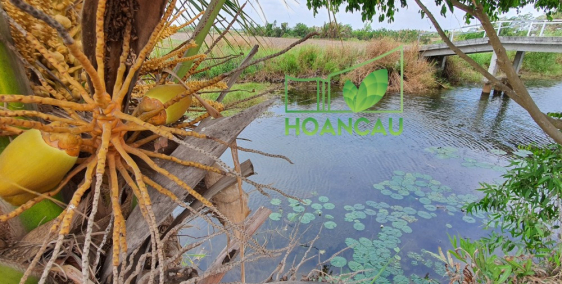 Nhà vườn mặt sông Nhơn Trạch 2000m2, cấn đường nối sân bay, cách SG 5km