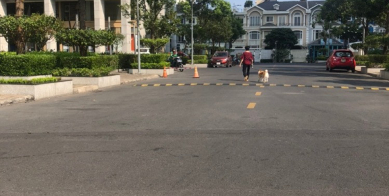 Bán nhanh Shophouse The Peak, Phú Mỹ Hưng, Quận 7