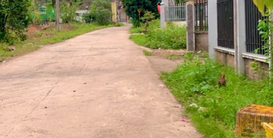 Bán 212m2 thổ cư ngay trung tâm Thị Trấn Đạ M'ri - ĐạHuoai - Lâm Đồng