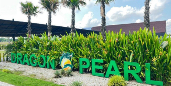 bán lô đât khu dân cư đức hòa đông ngay kênh an hạ dt ;90m2 giá 1ty350 shr