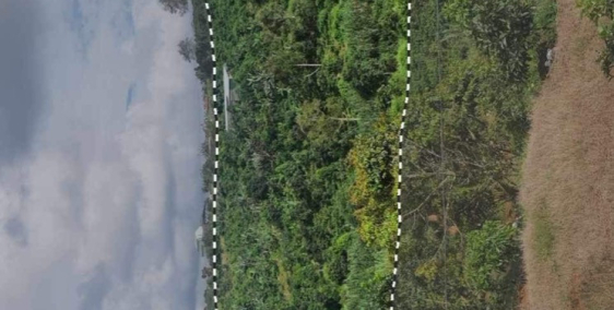 Bán 2.4 ha ngay gần TT Bảo Lộc