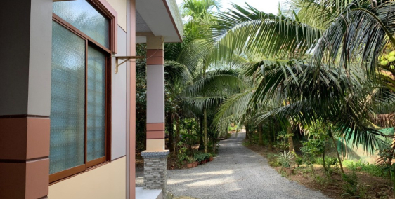 NHÀ VƯỜN 1790M2 ĐƯỜNG XE 16 CHỖ GIÁP THỊ TRẤN GIỒNG TRÔM