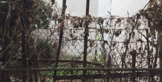 Bán đất Phú Thượng, Tây hồ 30m, ngõ THÔNG, 3 GÁC TRÁNH, mt 5.9m chỉ 4 tỷ