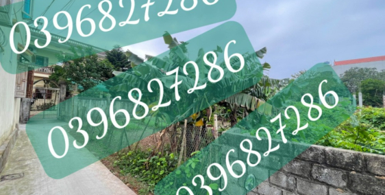 Chính chủ cần bán đất 90m2 tại thôn Đào Xá, Thường Tín, Hà Nội