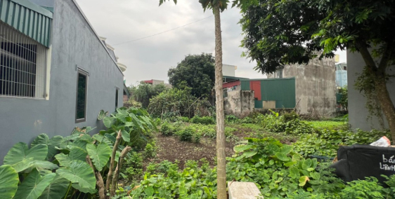 Bán đất ngõ phố Đinh Văn Tả, phường Bình Hàn, TP HD, 184m2, mt 10.53m, ngõ oto t