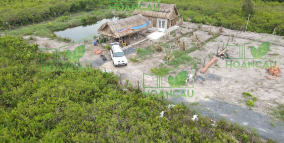 1300m2 đất vườn xinh xắn gần sông, cách SG chỉ 1 tiếng lái xe