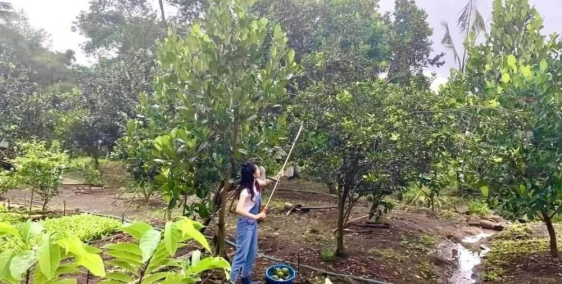 Đất ngộp 5166,6m2 vườn cây ăn trái có sẵn nhà cấp 4 (điện nước có sẵn)