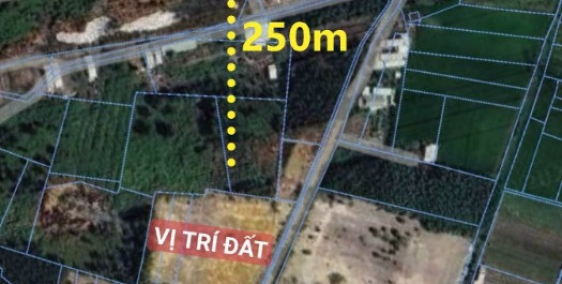 Gần 8000m2 đất sào Nhơn Trạch, cách cao tốc Bến Lức 250m