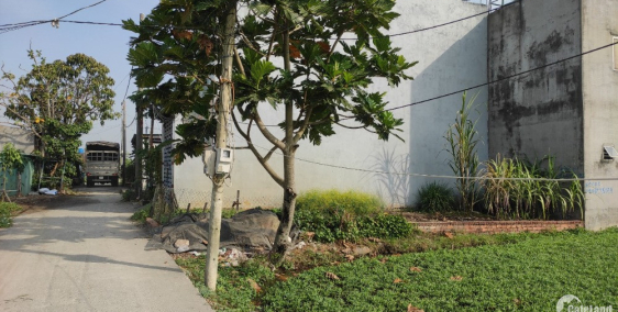 Đường bê tông ô tô thông, 8x25m tiện xây nhà vườn. 1.25 tỷ