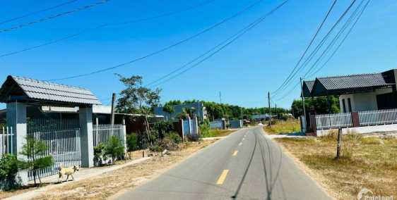 Chủ kẹt tiền cần bán gấp lô đất 250m2 có sẵn thổ cư đường quy hoạch mở 30m