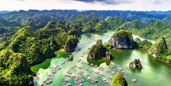 BÁN ĐẤT THỔ CƯ FULL SỔ ĐỎ, ĐƯỜNG CÁI BÈO, TRUNG TÂM THỊ TRẤN CÁT BÀ, VỊ TRÍ ĐẸP