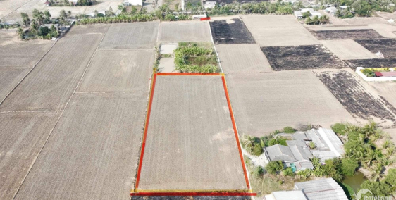 Bán đất lúa hết sổ 4162m2 tân lân cần đước long an