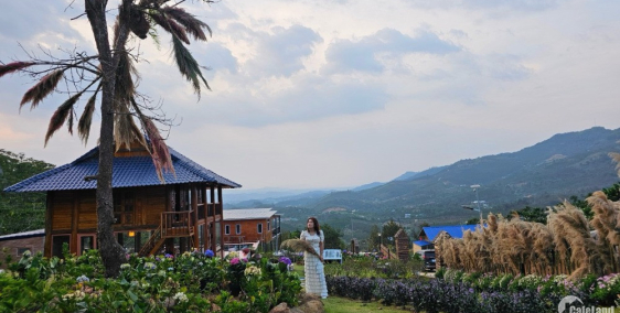 BÁN 1000M2 NGAY LÀNG OA BẢO LỘC - CLICK NGAY NHẬN 5 CHỈ VÀNG