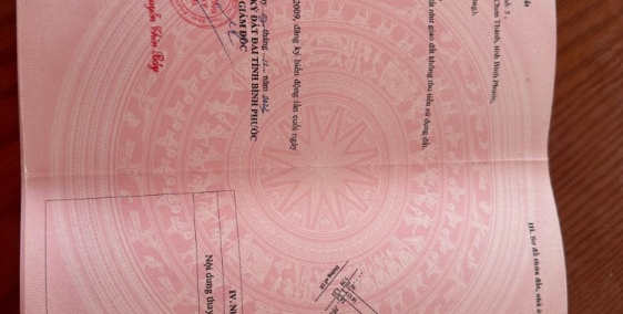 ĐẤT VƯỜN GIÁ RẺ ĐẸP GẦN KCN MINH HƯNG