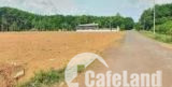 Đất Bình Dương siêu rẻ 290m2 chỉ 1,5tr/m gần KCN có tc, sổ sẵn