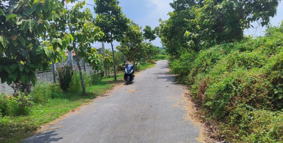 Chính chủ cần bán lô đất 3878.2m2 vuông vức, bằng phẳng thổ cư 3602.5m2