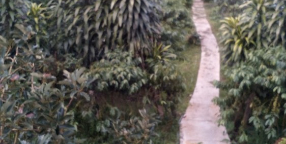 Bán biệt thự sân vườn thiết kế đẹp –Bảo Lộc, tỉnh Lâm Đồng- giá: 16 tỷ