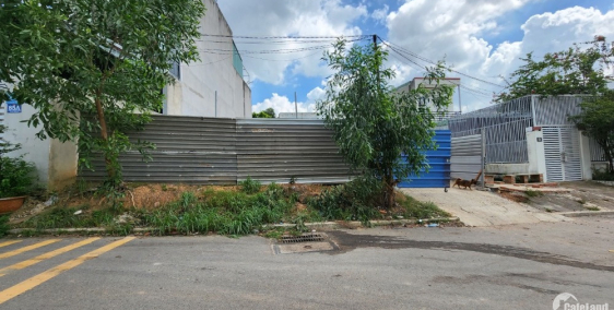 Bán đất mặt tiền đường Tân Hiệp gần với Nguyễn Thị Tươi p. Tân Bình Dĩ An 80m2