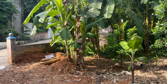 Bán 63m Full Thổ Cư-Sổ Đỏ Hà Nội-Gần Đường Lớn-Các Trường Đại Học-Cao Đẳng- 1