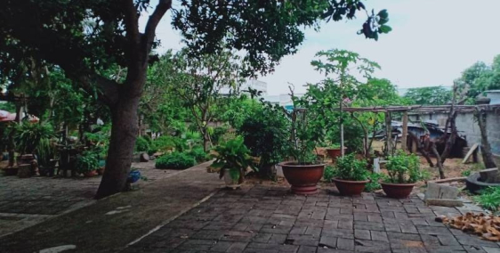 CHÍNH CHỦ CẦN BÁN LÔ ĐẤT SIÊU VIP ĐƯỜNG NGUYỄN THÔNG, PHÚ HÀI, TP.PHAN THIẾT