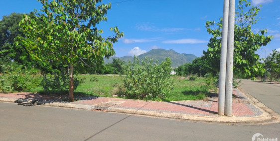 Chủ gửi lô đất nằm trong khu dân cư Hoà Long Mới - BRVT, bên cạnh chợ Hoà Long.