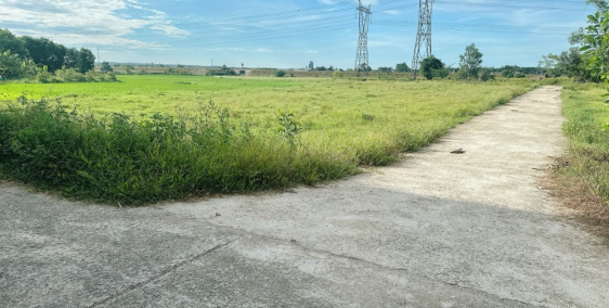 ️Giỏ Hàng 2XX Phong Điền Chính Thức Khan Hiếm Tại Phong Điền - E Chỉ Còn Một Và