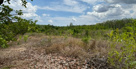 Đất vườn  gần 9 sào Hoà Bình Xuyên Mộc Bà Rịa VT, kẹt cần bán gấp